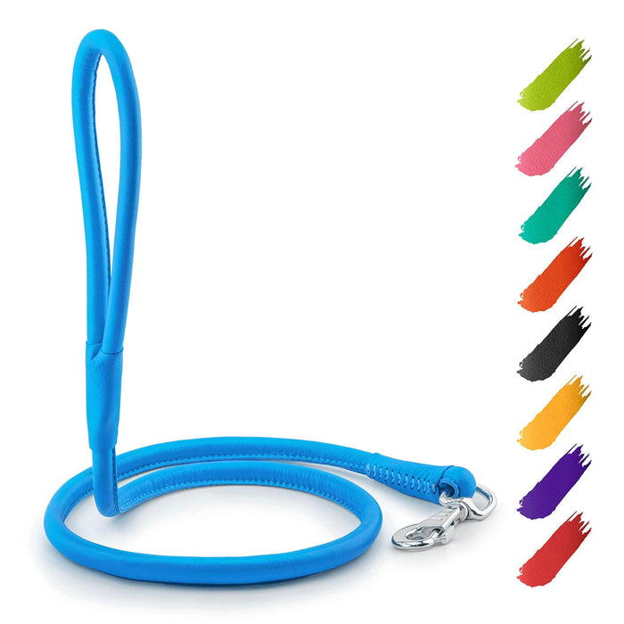 WAUDOG Rolled Leather Dog Leash 4Ft * 0.4 in for Small Medium and Large Dogs   Heavy Duty Leather Puppy Leash for Outdoor Walking Running Training   Strong Dog Leashes for Large Breed Dogs (Blue)