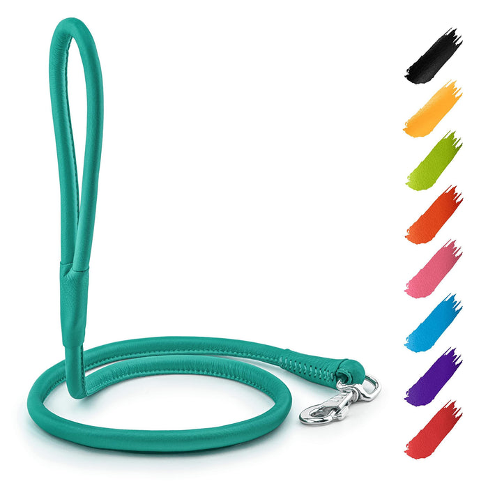 Rolled Leather Dog Leash 4Ft * 0.4 in for Small Medium and Large Dogs   Heavy Duty Leather Puppy Leash for Outdoor Walking Running Training   Strong Dog Leashes for Large Breed Dogs (Mint)