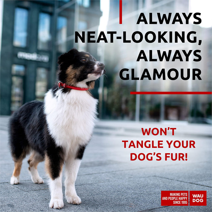 Ultra Soft Rolled Leather Dog Collar for Small Dogs   Soft Padded Dog Collars for Medium Dogs   Puppy Collars for Large Breed Dogs   Male and Female Dog Collar