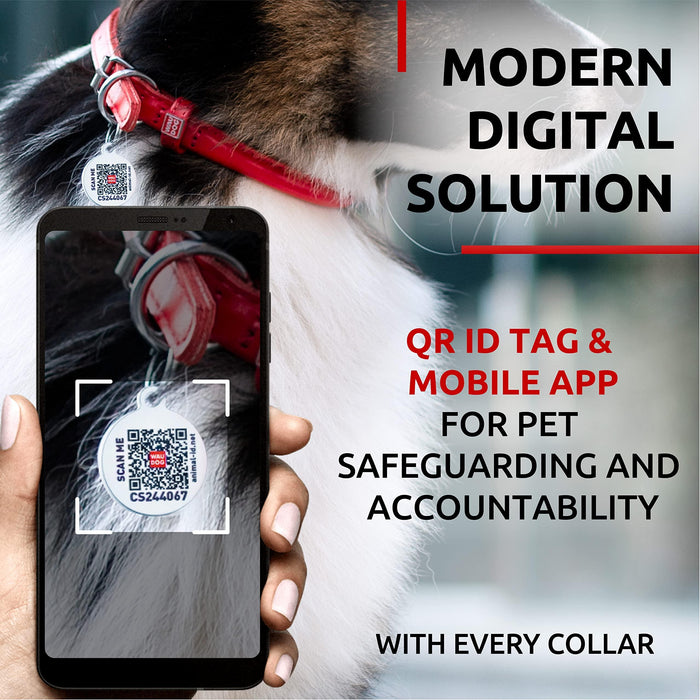 Ultra Soft Rolled Leather Dog Collar for Small Dogs   Soft Padded Dog Collars for Medium Dogs   Puppy Collars for Large Breed Dogs   Male and Female Dog Collar