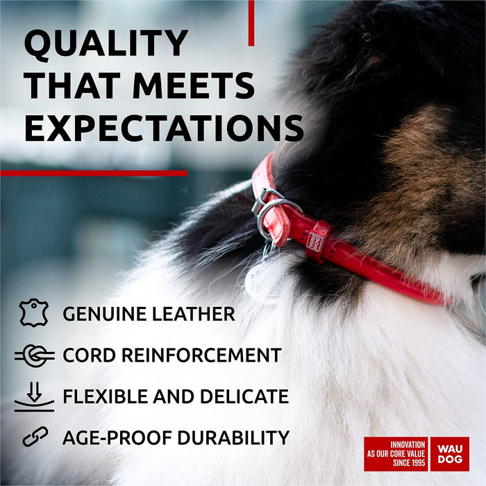 Ultra Soft Rolled Leather Dog Collar for Small Dogs   Soft Padded Dog Collars for Medium Dogs   Puppy Collars for Large Breed Dogs   Male and Female Dog Collar