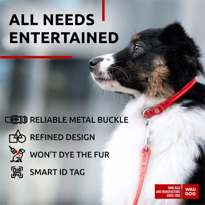 Ultra Soft Rolled Leather Dog Collar for Small Dogs   Soft Padded Dog Collars for Medium Dogs   Puppy Collars for Large Breed Dogs   Male and Female Dog Collar