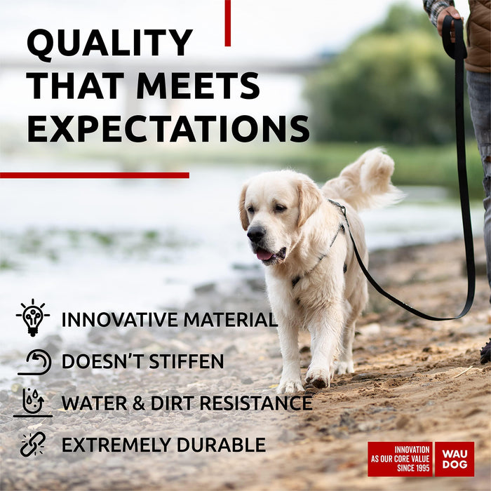Waterproof Dog Leash 4 Ft   6 Ft   Anti Slip Dog Leash for Large Dogs Small and Medium Dogs   Heavy Duty Dog Leash with Water and Dirt Resistant   Long Or Short Dog Leashes for Boy & Girl Dogs