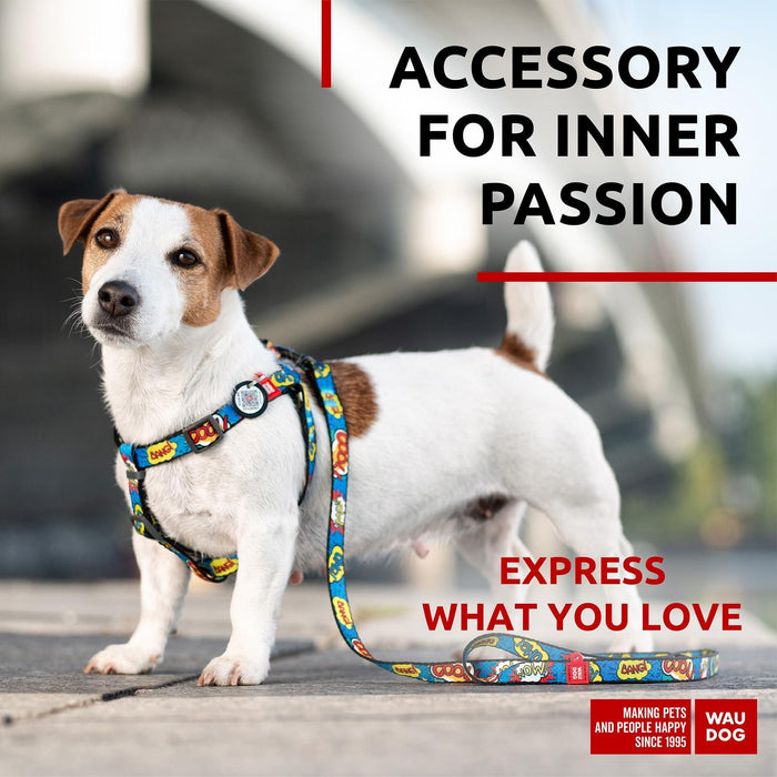 Nylon Dog Leash for Small Dogs and Medium Dogs 4 Ft   Strong Dog Leash for Large Dogs   Heavy Duty Dog Leashes for Large Breed Dogs & Puppy Leash for Small Boy & Girl Dogs