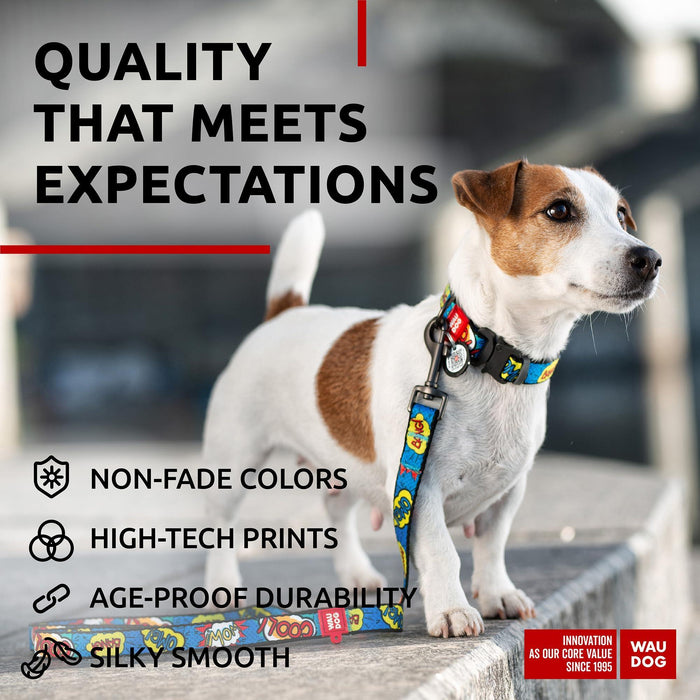 Nylon Dog Leash for Small Dogs and Medium Dogs 4 Ft   Strong Dog Leash for Large Dogs   Heavy Duty Dog Leashes for Large Breed Dogs & Puppy Leash for Small Boy & Girl Dogs