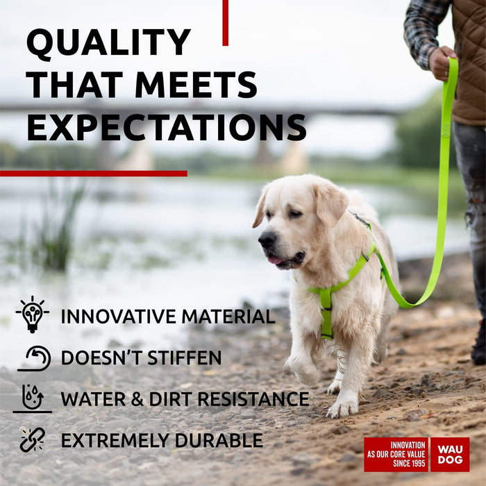 WAUDOG Waterproof Dog Leash 4 Ft   6 Ft   Anti Slip Dog Leash for Large Dogs Small and Medium Dogs   Heavy Duty Dog Leash with Water and Dirt Resistant   Long Or Short Dog Leashes for Boy & Girl Dogs