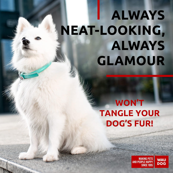 Ultra Soft Rolled Leather Dog Collar for Small Dogs   Soft Padded Dog Collars for Medium Dogs   Puppy Collars for Large Breed Dogs   Male and Female Dog Collar