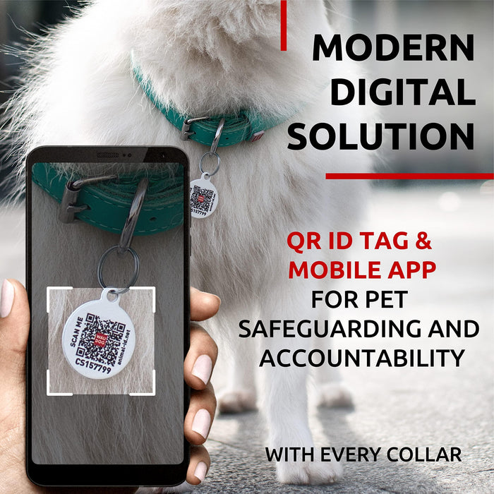 Ultra Soft Rolled Leather Dog Collar for Small Dogs   Soft Padded Dog Collars for Medium Dogs   Puppy Collars for Large Breed Dogs   Male and Female Dog Collar