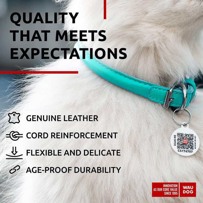 Ultra Soft Rolled Leather Dog Collar for Small Dogs   Soft Padded Dog Collars for Medium Dogs   Puppy Collars for Large Breed Dogs   Male and Female Dog Collar