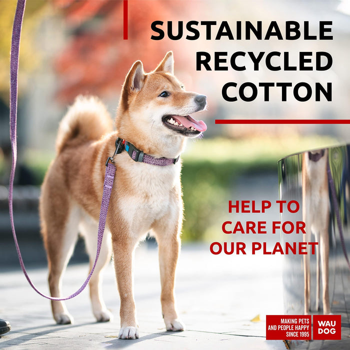 WAUDOG Recycled Cotton Dog Leash 6 Ft   10 Ft Eco Friendly Collar for Small Medium & Large Dogs   Reflective Dog Leash for Medium Dogs   Strong Leashes for Large Breed Dogs Puppy Leash for Small Dogs