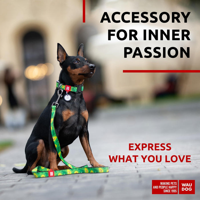 Nylon Dog Leash for Small Dogs and Medium Dogs 4 Ft   Strong Dog Leash for Large Dogs   Heavy Duty Dog Leashes for Large Breed Dogs & Puppy Leash for Small Boy & Girl Dogs