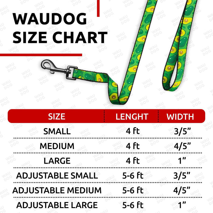 Nylon Dog Leash for Small Dogs and Medium Dogs 4 Ft   Strong Dog Leash for Large Dogs   Heavy Duty Dog Leashes for Large Breed Dogs & Puppy Leash for Small Boy & Girl Dogs