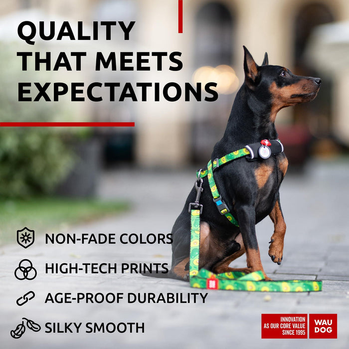 Nylon Dog Leash for Small Dogs and Medium Dogs 4 Ft   Strong Dog Leash for Large Dogs   Heavy Duty Dog Leashes for Large Breed Dogs & Puppy Leash for Small Boy & Girl Dogs