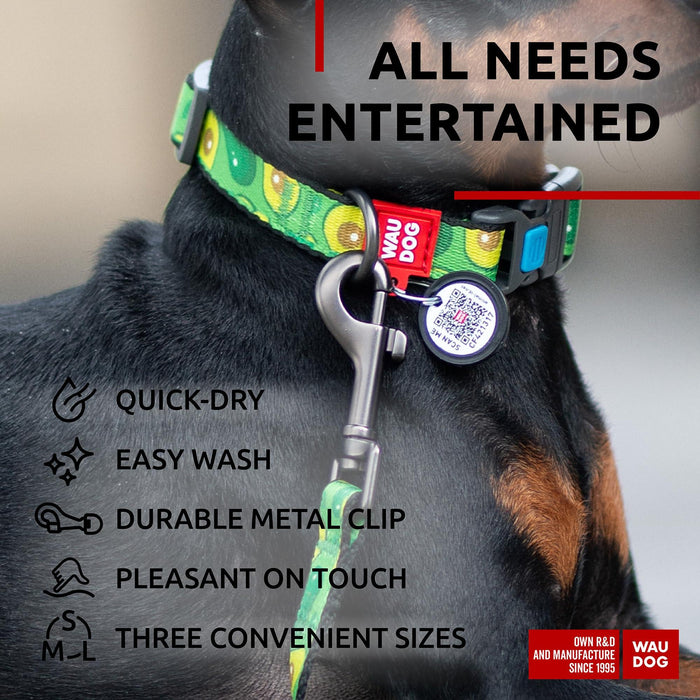 Nylon Dog Leash for Small Dogs and Medium Dogs 4 Ft   Strong Dog Leash for Large Dogs   Heavy Duty Dog Leashes for Large Breed Dogs & Puppy Leash for Small Boy & Girl Dogs