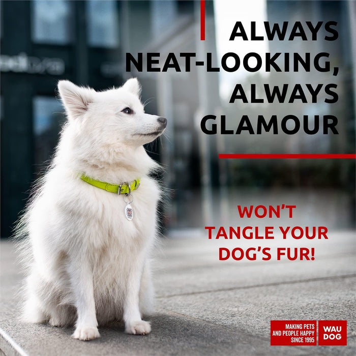 Ultra Soft Rolled Leather Dog Collar for Small Dogs   Soft Padded Dog Collars for Medium Dogs   Puppy Collars for Large Breed Dogs   Male and Female Dog Collar