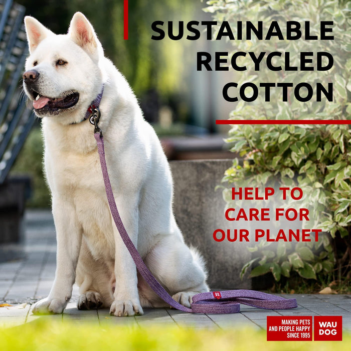 Recycled Cotton Dog Leash 6 Ft   10 Ft Eco Friendly Collar for Small Medium & Large Dogs   Reflective Dog Leash for Medium Dogs   Strong Leashes for Large Breed Dogs Puppy Leash for Small Dogs