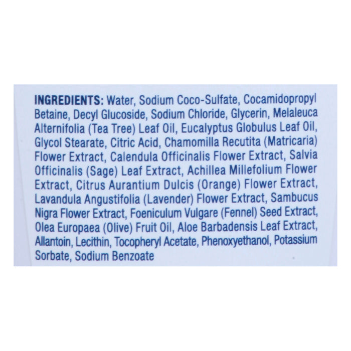 Kiss My Face - Hand Soap Tea Tree Mst - 1 Each-9  Fz