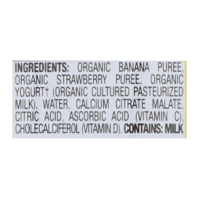 Earth's Best Organic Fruit Yogurt Smoothie - Strawberry Banana - Case Of 12 - 4.2 Oz.