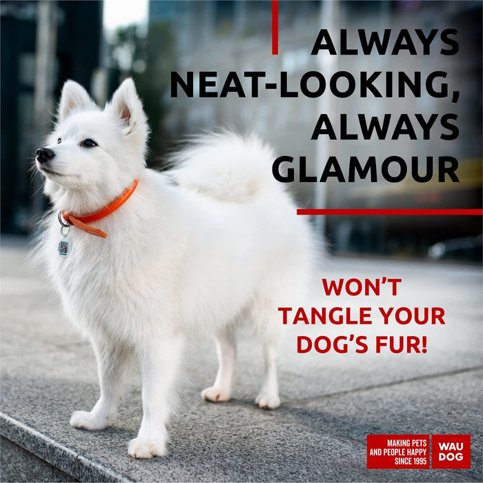 Ultra Soft Rolled Leather Dog Collar for Small Dogs   Soft Padded Dog Collars for Medium Dogs   Puppy Collars for Large Breed Dogs   Male and Female Dog Collar