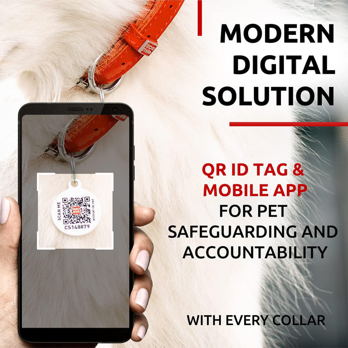 Ultra Soft Rolled Leather Dog Collar for Small Dogs   Soft Padded Dog Collars for Medium Dogs   Puppy Collars for Large Breed Dogs   Male and Female Dog Collar