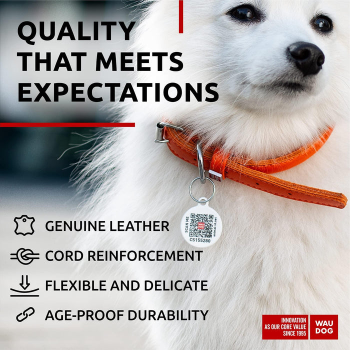 Ultra Soft Rolled Leather Dog Collar for Small Dogs   Soft Padded Dog Collars for Medium Dogs   Puppy Collars for Large Breed Dogs   Male and Female Dog Collar