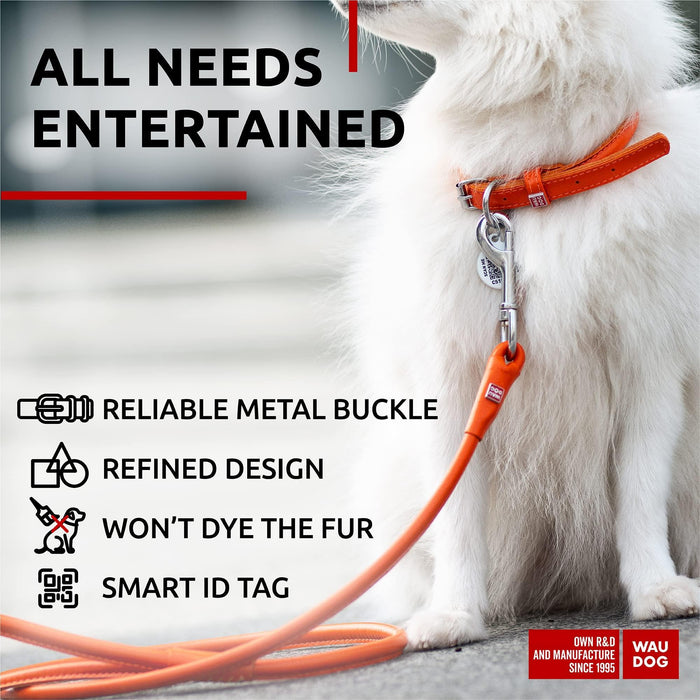 Ultra Soft Rolled Leather Dog Collar for Small Dogs   Soft Padded Dog Collars for Medium Dogs   Puppy Collars for Large Breed Dogs   Male and Female Dog Collar