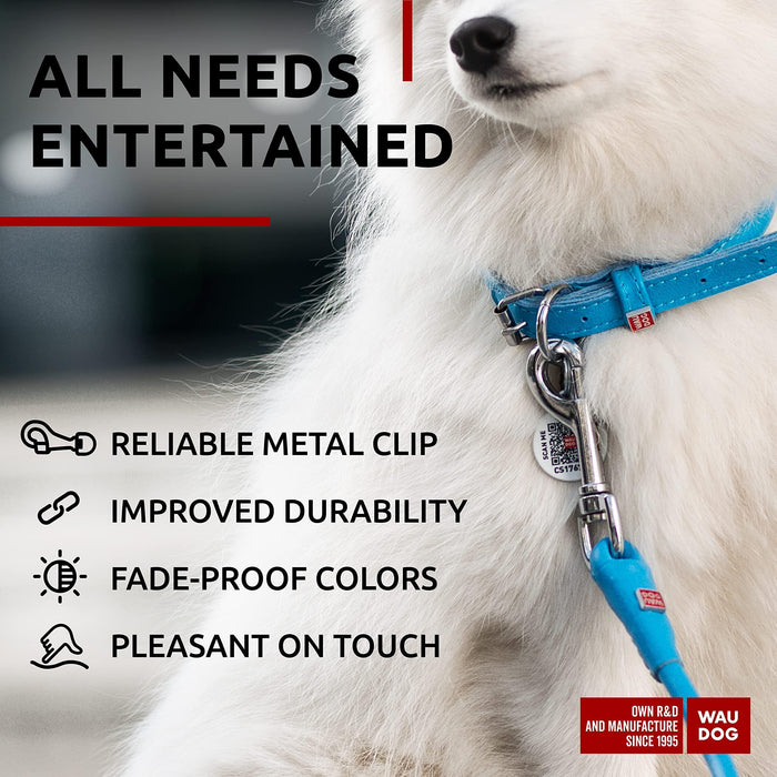 WAUDOG Rolled Leather Dog Leash 4Ft * 0.3 in for Small Medium and Large Dogs   Heavy Duty Leather Puppy Leash for Outdoor Walking Running Training   Strong Dog Leashes for Large Breed Dogs (Blue)