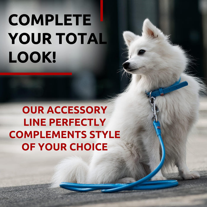 WAUDOG Rolled Leather Dog Leash 4Ft * 0.3 in for Small Medium and Large Dogs   Heavy Duty Leather Puppy Leash for Outdoor Walking Running Training   Strong Dog Leashes for Large Breed Dogs (Blue)