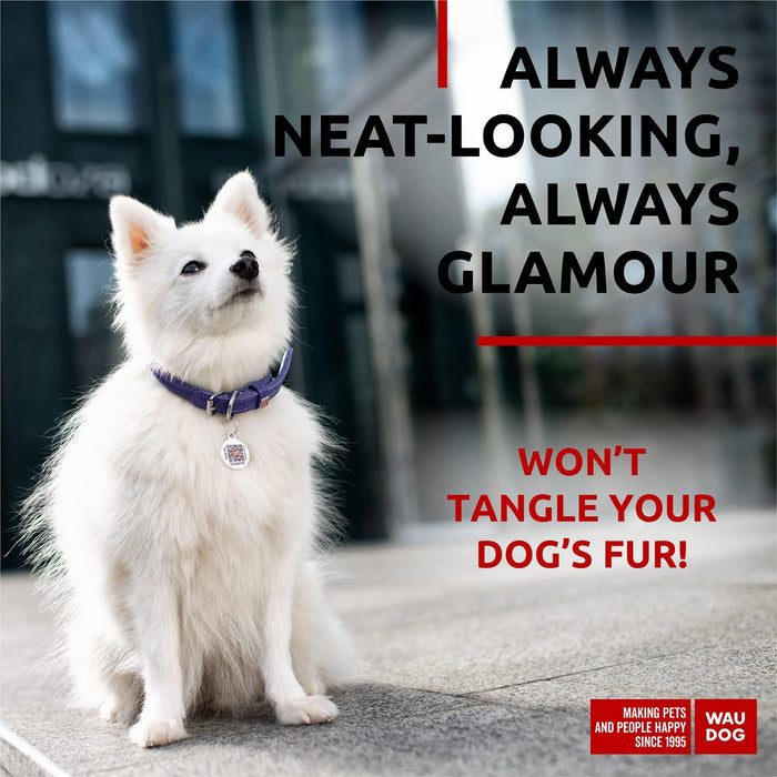 Ultra Soft Rolled Leather Dog Collar for Small Dogs   Soft Padded Dog Collars for Medium Dogs   Puppy Collars for Large Breed Dogs   Male and Female Dog Collar