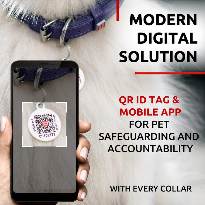 Ultra Soft Rolled Leather Dog Collar for Small Dogs   Soft Padded Dog Collars for Medium Dogs   Puppy Collars for Large Breed Dogs   Male and Female Dog Collar