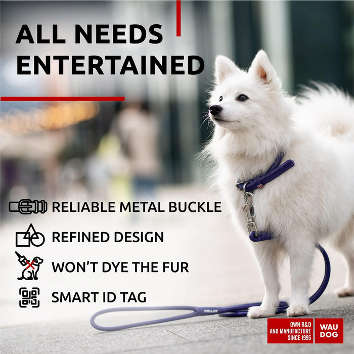 Ultra Soft Rolled Leather Dog Collar for Small Dogs   Soft Padded Dog Collars for Medium Dogs   Puppy Collars for Large Breed Dogs   Male and Female Dog Collar