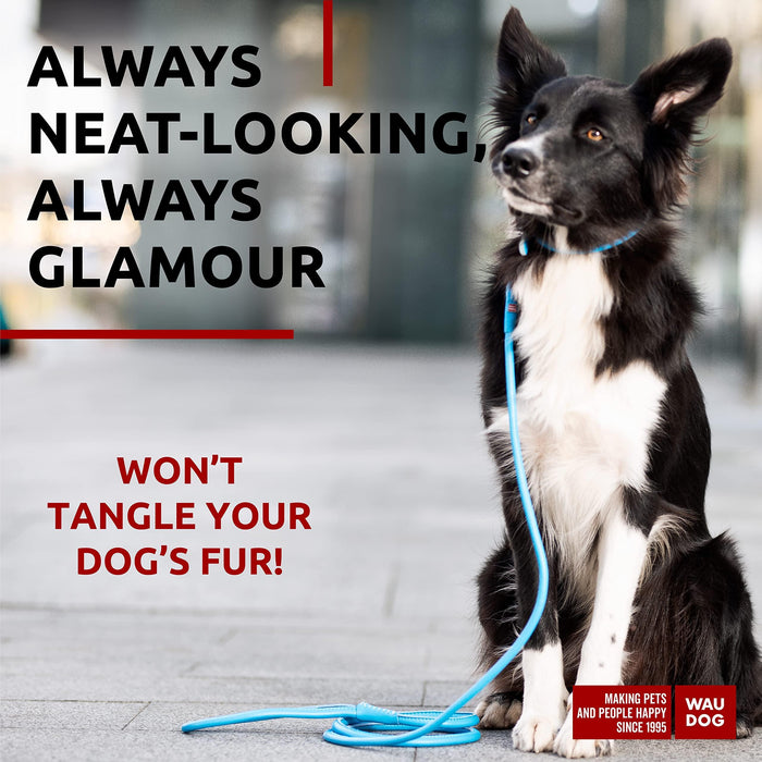 WAUDOG Rolled Leather Dog Leash 4Ft * 0.4 in for Small Medium and Large Dogs   Heavy Duty Leather Puppy Leash for Outdoor Walking Running Training   Strong Dog Leashes for Large Breed Dogs (Blue)