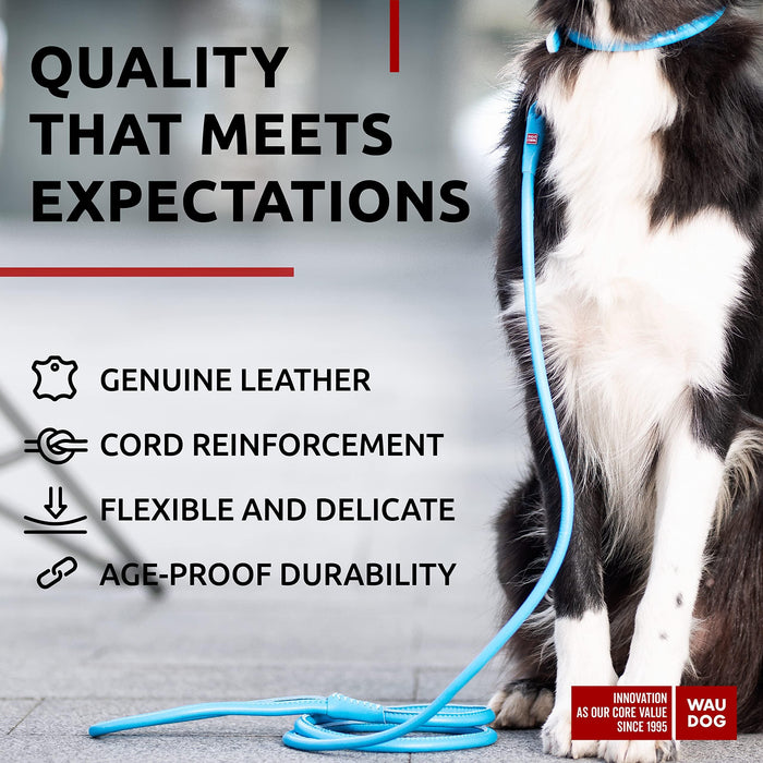 WAUDOG Rolled Leather Dog Leash 4Ft * 0.4 in for Small Medium and Large Dogs   Heavy Duty Leather Puppy Leash for Outdoor Walking Running Training   Strong Dog Leashes for Large Breed Dogs (Blue)