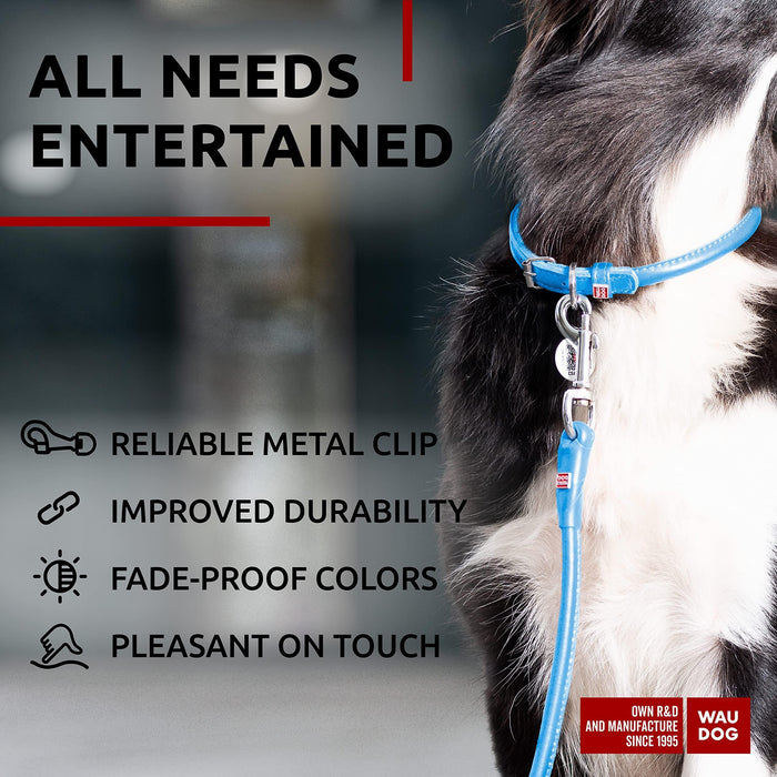 WAUDOG Rolled Leather Dog Leash 4Ft * 0.4 in for Small Medium and Large Dogs   Heavy Duty Leather Puppy Leash for Outdoor Walking Running Training   Strong Dog Leashes for Large Breed Dogs (Blue)