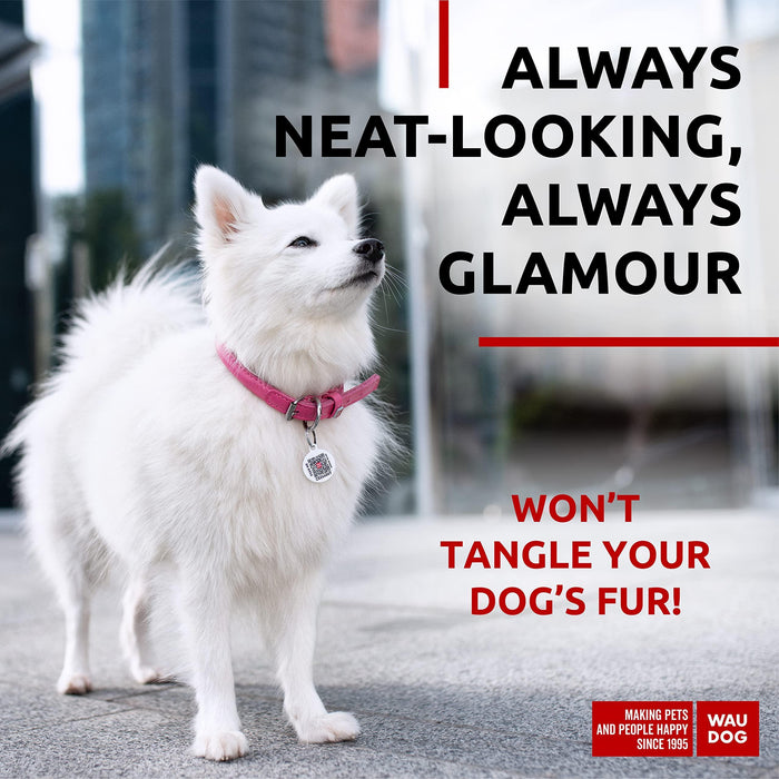 Ultra Soft Rolled Leather Dog Collar for Small Dogs   Soft Padded Dog Collars for Medium Dogs   Puppy Collars for Large Breed Dogs   Male and Female Dog Collar