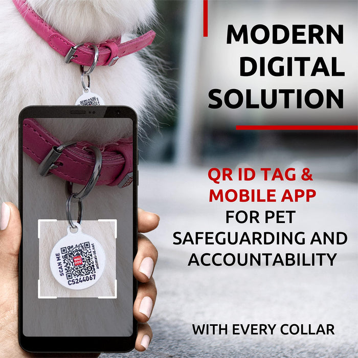 Ultra Soft Rolled Leather Dog Collar for Small Dogs   Soft Padded Dog Collars for Medium Dogs   Puppy Collars for Large Breed Dogs   Male and Female Dog Collar