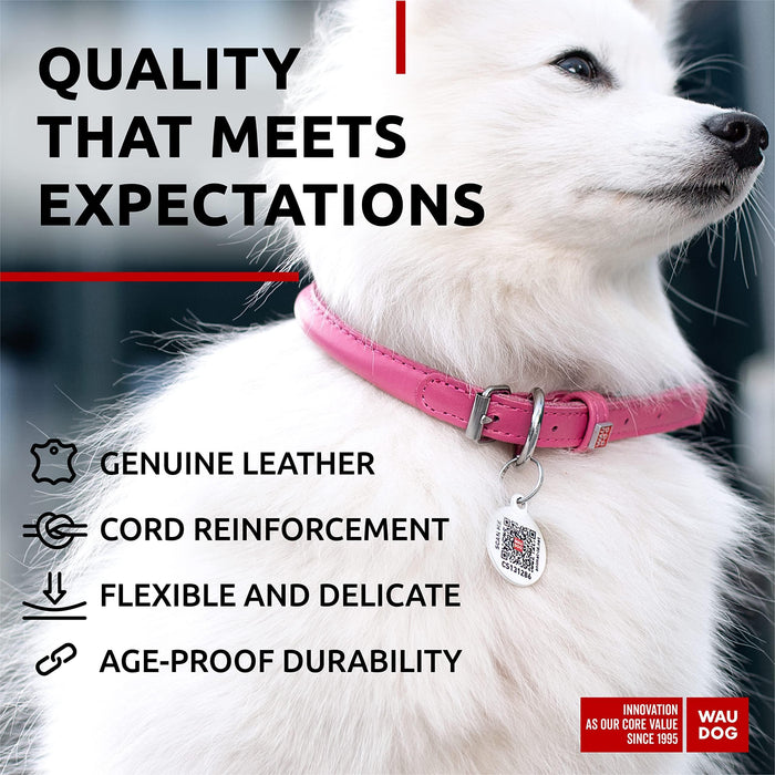 Ultra Soft Rolled Leather Dog Collar for Small Dogs   Soft Padded Dog Collars for Medium Dogs   Puppy Collars for Large Breed Dogs   Male and Female Dog Collar