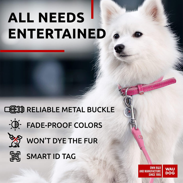 Ultra Soft Rolled Leather Dog Collar for Small Dogs   Soft Padded Dog Collars for Medium Dogs   Puppy Collars for Large Breed Dogs   Male and Female Dog Collar