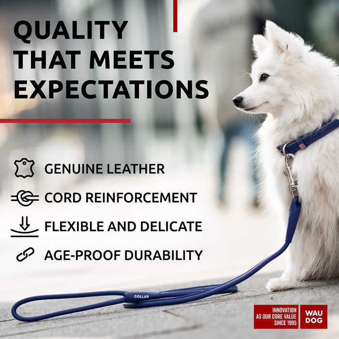 Rolled Leather Dog Leash 4Ft * 0.3 in for Small Medium and Large Dogs   Heavy Duty Leather Puppy Leash for Outdoor Walking Running Training   Strong Dog Leashes for Large Breed Dogs (Purple)