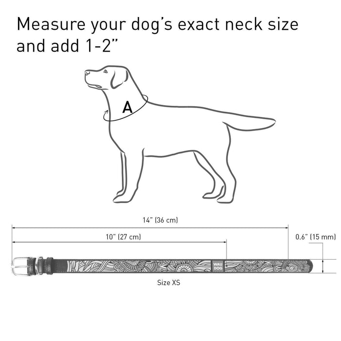 Design Leather Dog Collar for Puppy Small Medium and Large Dogs   Boy & Girl Leather Dog Collar   Leather Buckle Dog Collar White (10 1 4    13 3 4  Neck * 3 5  Wide Ethno 1)