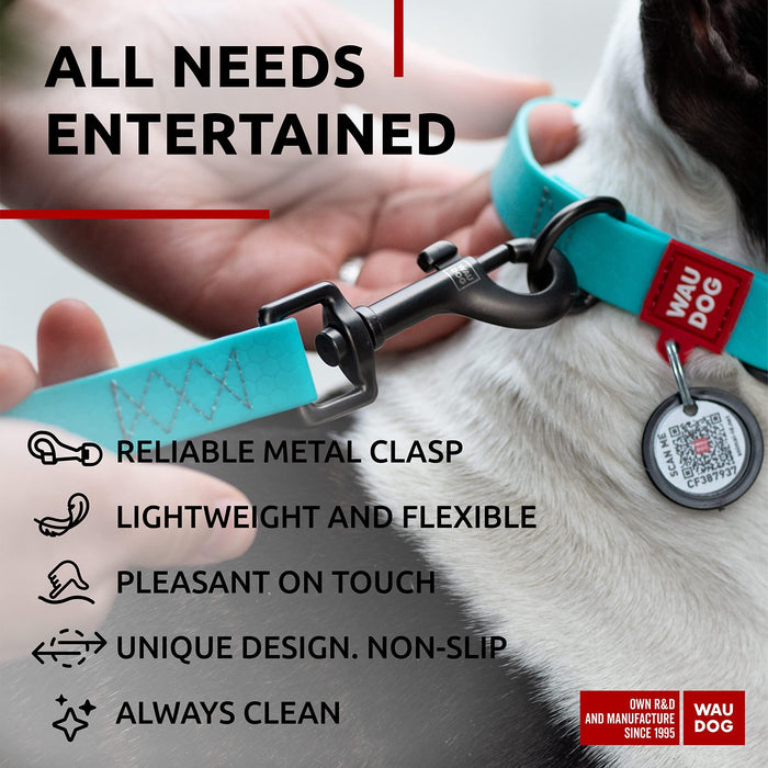 Waterproof Dog Leash 4 Ft   6 Ft   Anti Slip Dog Leash for Large Dogs Small and Medium Dogs   Heavy Duty Dog Leash with Water and Dirt Resistant   Long Or Short Dog Leashes for Boy & Girl Dogs