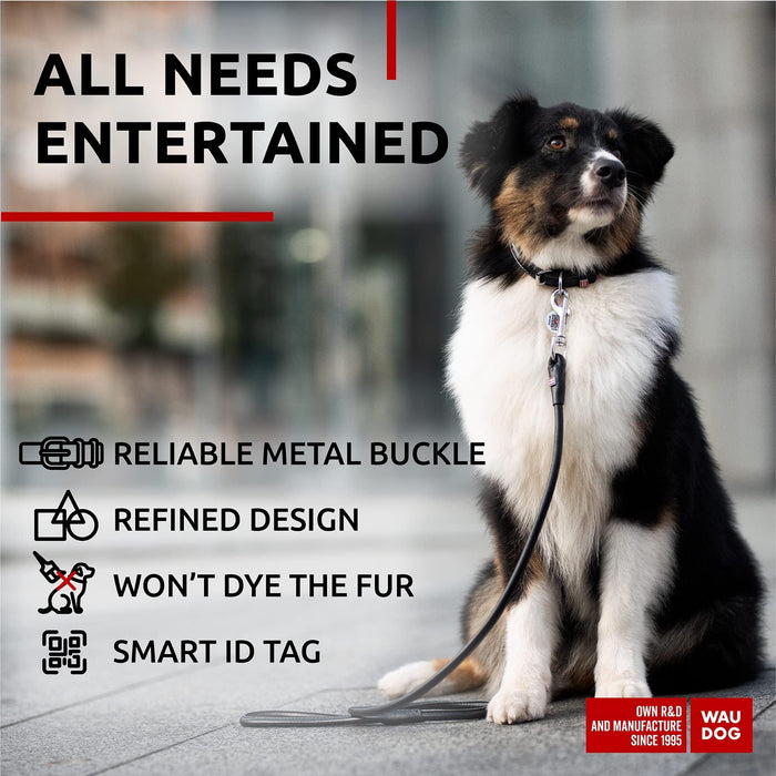 Ultra Soft Rolled Leather Dog Collar for Small Dogs   Soft Padded Dog Collars for Medium Dogs   Puppy Collars for Large Breed Dogs   Male and Female Dog Collar