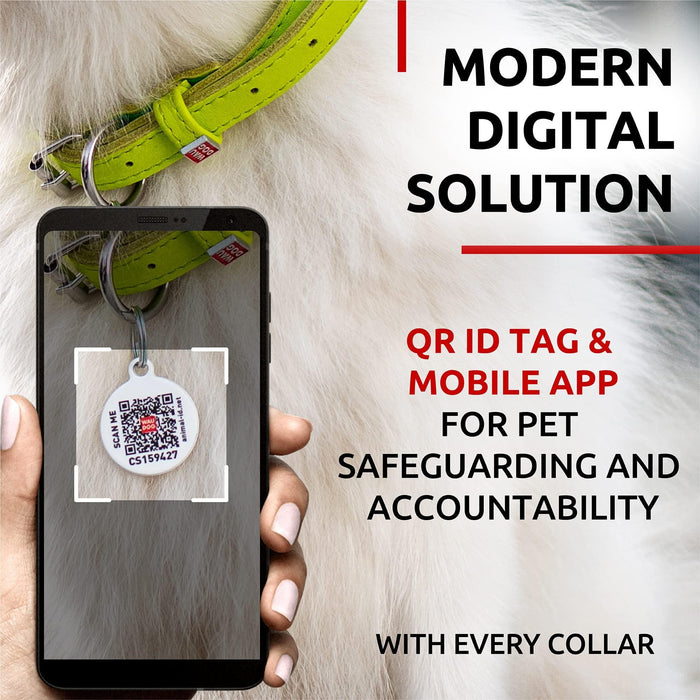 Ultra Soft Rolled Leather Dog Collar for Small Dogs   Soft Padded Dog Collars for Medium Dogs   Puppy Collars for Large Breed Dogs   Male and Female Dog Collar