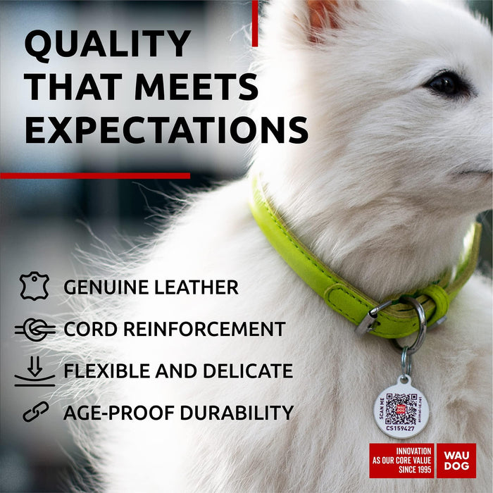 Ultra Soft Rolled Leather Dog Collar for Small Dogs   Soft Padded Dog Collars for Medium Dogs   Puppy Collars for Large Breed Dogs   Male and Female Dog Collar