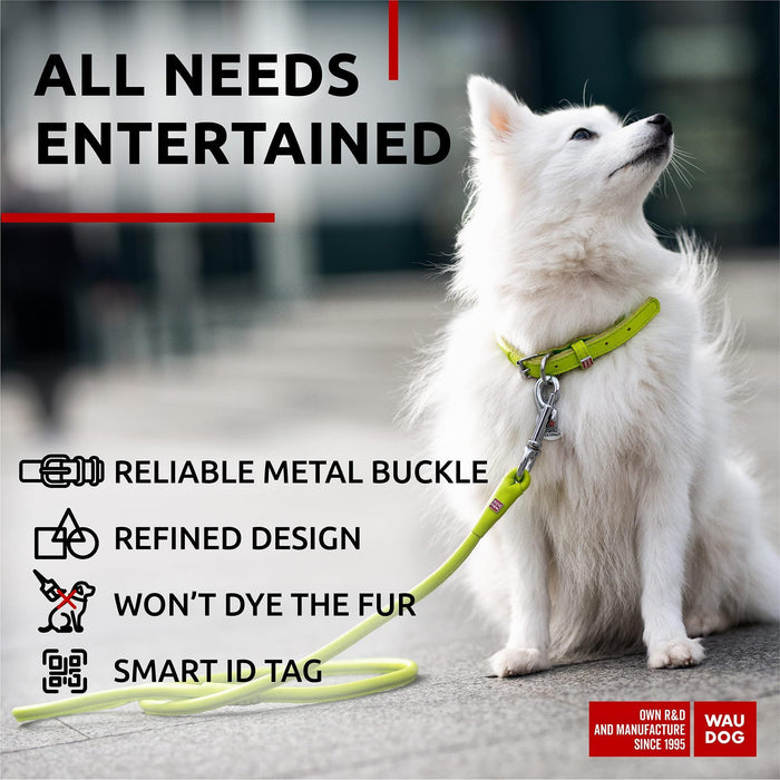 Ultra Soft Rolled Leather Dog Collar for Small Dogs   Soft Padded Dog Collars for Medium Dogs   Puppy Collars for Large Breed Dogs   Male and Female Dog Collar