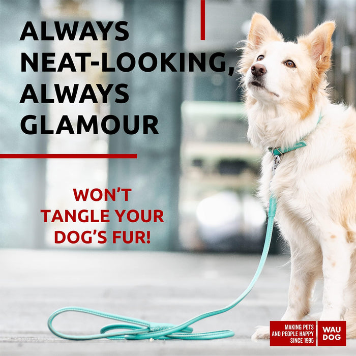 Rolled Leather Dog Leash 4Ft * 0.4 in for Small Medium and Large Dogs   Heavy Duty Leather Puppy Leash for Outdoor Walking Running Training   Strong Dog Leashes for Large Breed Dogs (Mint)