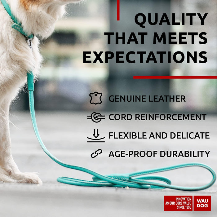 Rolled Leather Dog Leash 4Ft * 0.4 in for Small Medium and Large Dogs   Heavy Duty Leather Puppy Leash for Outdoor Walking Running Training   Strong Dog Leashes for Large Breed Dogs (Mint)