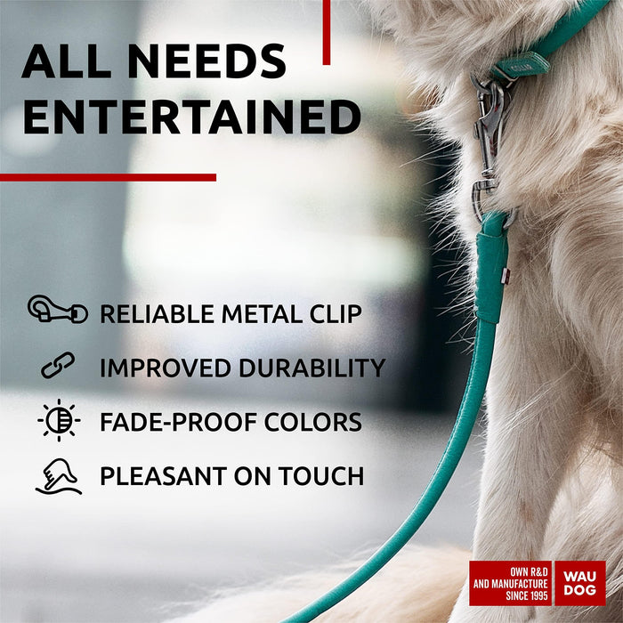 Rolled Leather Dog Leash 4Ft * 0.4 in for Small Medium and Large Dogs   Heavy Duty Leather Puppy Leash for Outdoor Walking Running Training   Strong Dog Leashes for Large Breed Dogs (Mint)