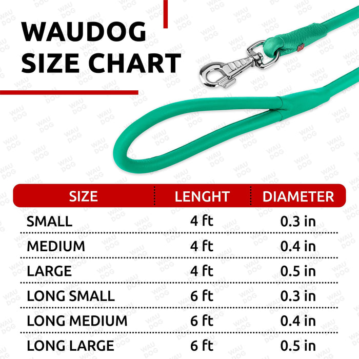 Rolled Leather Dog Leash 4Ft * 0.4 in for Small Medium and Large Dogs   Heavy Duty Leather Puppy Leash for Outdoor Walking Running Training   Strong Dog Leashes for Large Breed Dogs (Mint)