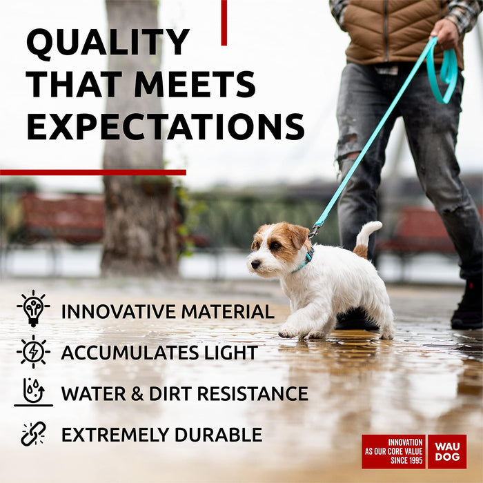 Waterproof Dog Leash 4 Ft   6 Ft   Anti Slip Dog Leash for Large Dogs Small and Medium Dogs   Heavy Duty Dog Leash with Water and Dirt Resistant   Long Or Short Dog Leashes for Boy & Girl Dogs